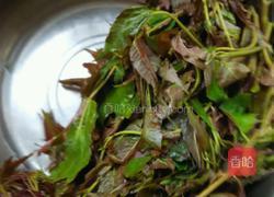 香椿炒鸡蛋的做法图解4