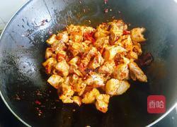 红炖鸡块的做法图解13