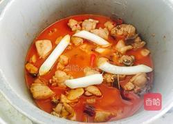红炖鸡块的做法图解17