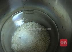 发芽糙米糊的做法图解4