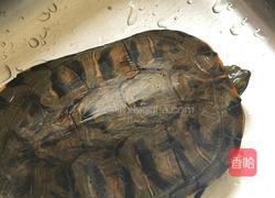 乌龟汤（野生）的做法图解1