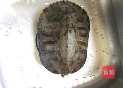 乌龟汤（野生）的做法图解2