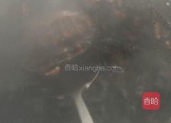 乌龟汤（野生）的做法图解4