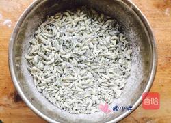 蒸槐花的做法图解10