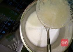 木瓜椰奶冻的做法图解5