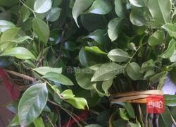 乌饭的做法图解1