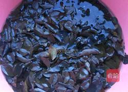 乌饭的做法图解2