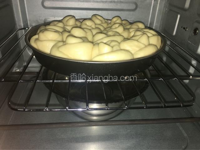 烤箱里放入一大碗热水，并把面包放进烤箱等待第二次发酵，一个小时。