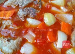 番茄牛肉的做法图解4