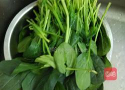 凉拌蒜末菠菜的做法图解2