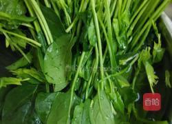 凉拌蒜末菠菜的做法图解3