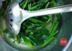 凉拌蒜末菠菜的做法图解7