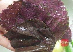 香辣干煸泥鳅的做法图解4