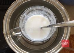 木瓜椰汁冻的做法图解6