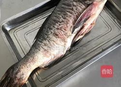 铁锅炖胖头鱼的做法图解1