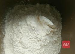 面包机面包（土司配方）的做法图解4