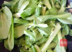 虾皮炒小油菜的做法图解4