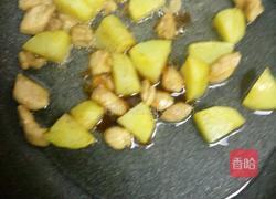 蚝油土豆肉丁盖饭的做法图解7