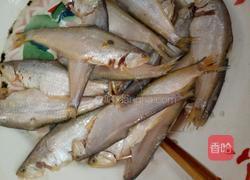 香煎黄鲫鱼的做法图解1