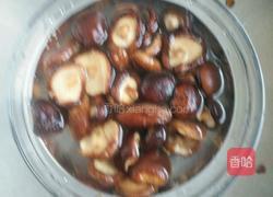 香菇炖牛肉的做法图解3