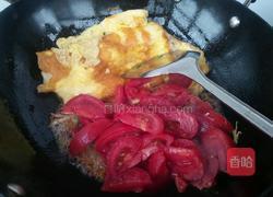 番茄炒蛋的做法图解5