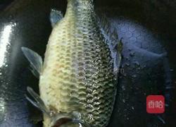 鲫鱼汤的做法图解3