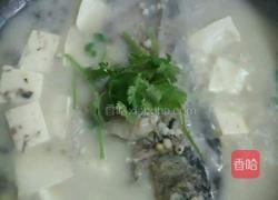 鲫鱼汤的做法图解4