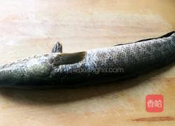 黑鱼汤的做法图解1