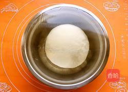 茄子肉馅包子的做法图解3