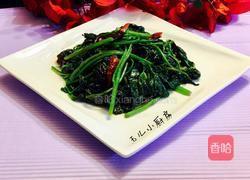 炝炒苕尖的做法图解7
