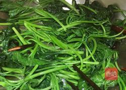 炝炒苕尖的做法图解6