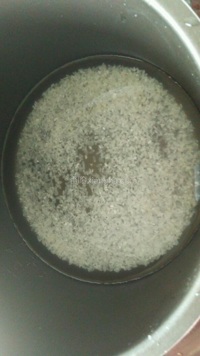 把大米放入电饭煲里，添适量的水