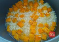 地瓜粥的做法图解7