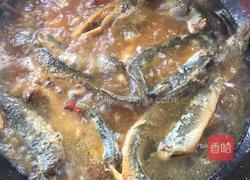 红烧泥鳅的做法图解10