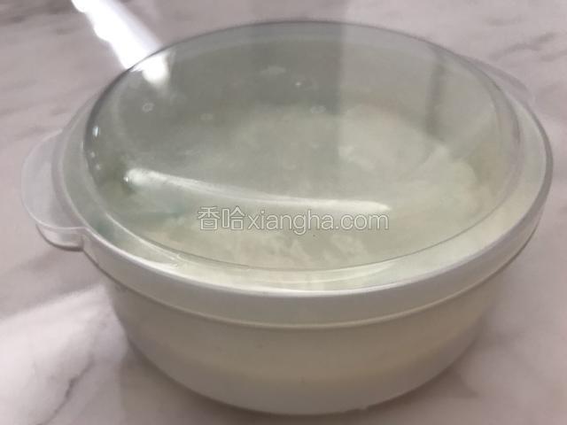 盖上盖子，放冰箱冷藏一夜。