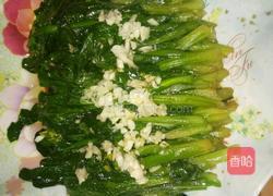 简单的水煮菜心的做法图解7