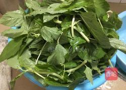 豆酱炒麻叶的做法图解1