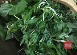 豆酱炒麻叶的做法图解7