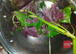 紫苏焗排骨的做法图解1