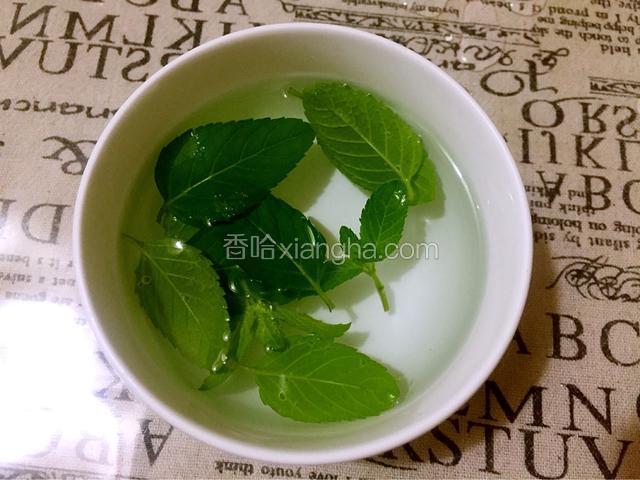 薄荷加入适量的盐和清水浸泡十分钟