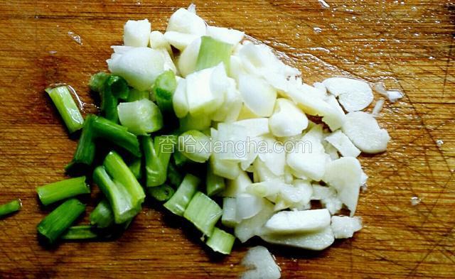 把蒜头和葱切好