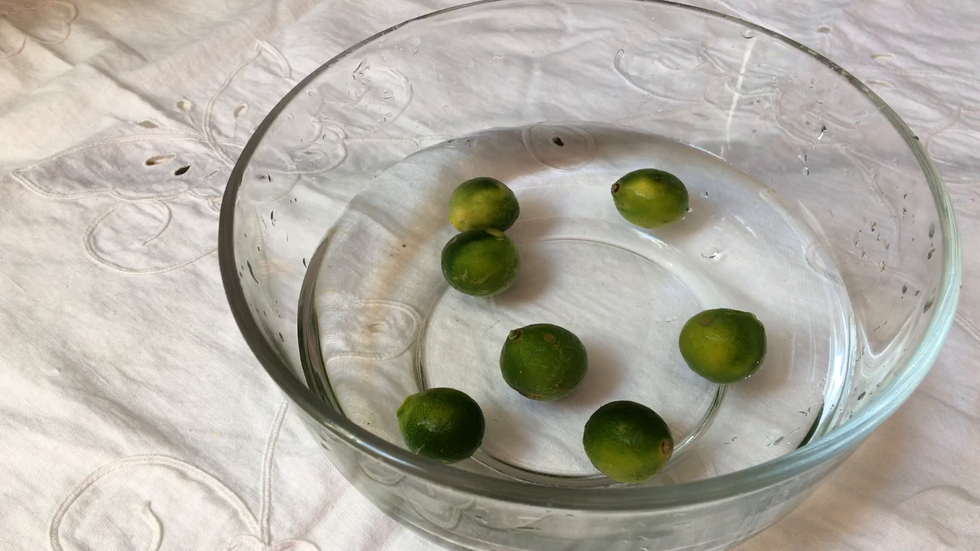 青柠檬洗净加盐浸泡