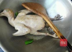 鸽子汤的做法图解7