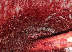 覆盆子果酱的做法图解8