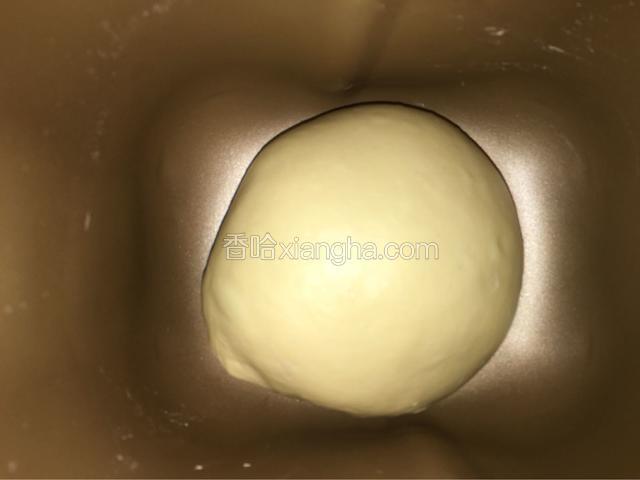 用手团圆，放回面包机发酵，开启发酵功能。