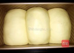 蔓越莓土司(食用油版)的做法图解12