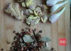 玉儿烧野兔肉的做法图解3