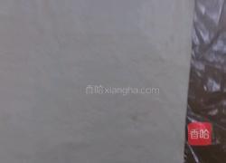 蝴蝶酥(黄油不用裹在面粉里)的做法图解10