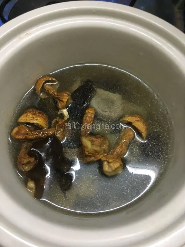 准备好炖锅，将煮排骨汤以及松茸，木耳，精盐一起放入，我用的是煲汤宝