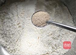酱肉麦穗包的做法图解1